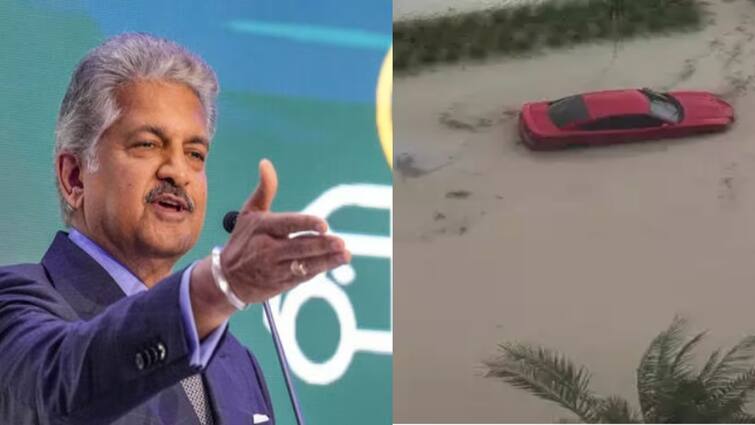 Anand Mahindra Ex Jet Airways CEO spar over Dubai heavy rains says Incorrect analogy துபாய் கனமழையை மும்பையுடன் ஒப்பிட்ட ஆனந்த மஹிந்திரா.. ஜெட் ஏர்வேஸ் முன்னாள் சிஇஓ விமர்சனம்.. என்ன மேட்டர்!