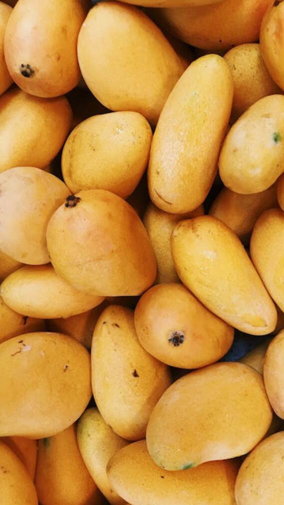 எந்தெந்த மாநிலத்தில் எந்த மாம்பழம் ஸ்பெஷல் தெரியுமா?