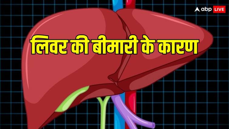 liver diseases in women 9 common reasons why they happen किन महिलाओं को लिवर की बीमारी का खतरा सबसे ज्यादा रहता है? जानें डॉक्टर की राय...