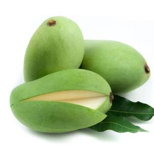 ਕੱਚੇ ਅੰਬ ਦੀ ਵਰਤੋਂ ਭਾਰਤੀ ਰਸੋਈ ਵਿੱਚ ਕਈ ਤਰੀਕਿਆਂ ਨਾਲ ਕੀਤੀ ਜਾਂਦੀ ਹੈ। ਕਈ ਲੋਕ ਅੰਬ ਦਾ ਅਚਾਰ ਖਾਣਾ ਪਸੰਦ ਕਰਦੇ ਹਨ, ਜਦਕਿ ਕਈ ਲੋਕ ਇਸ ਦੀ ਮਿੱਠੀ ਅਤੇ ਖੱਟੀ ਚਟਨੀ ਜਾਂ ਸਬਜ਼ੀ ਖਾਣ ਦੇ ਸ਼ੌਕੀਨ ਹੁੰਦੇ ਹਨ। ਕੱਚੇ ਅੰਬ ਕਈ ਪੌਸ਼ਟਿਕ ਤੱਤਾਂ ਨਾਲ ਭਰਪੂਰ ਹੁੰਦੇ ਹਨ। ਅਜਿਹੇ ‘ਚ ਇਹ ਸਰੀਰ ਦੀਆਂ ਕਈ ਸਮੱਸਿਆਵਾਂ ਤੋਂ ਛੁਟਕਾਰਾ ਦਿਵਾਉਣ ‘ਚ ਵੀ ਮਦਦਗਾਰ ਸਾਬਤ ਹੁੰਦੇ ਹਨ।