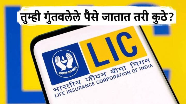what lic do rupees which are invested by common people know detail information तुम्ही गुंतवलेल्या पैशांचं LIC नेमकं करते तरी काय? उत्तर वाचून विश्वास बसणार नाही!