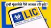 तुम्ही गुंतवलेल्या पैशांचं LIC नेमकं करते तरी काय? उत्तर वाचून विश्वास बसणार नाही!