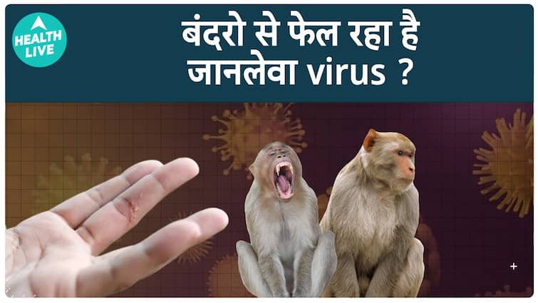Monkey Virus क्या है? I B virus I Health Live