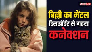 Mental Health: Schizophrenia का खतरा बढ़ा सकती है बिल्ली, घर में पालते हैं तो हो जाएं सावधान