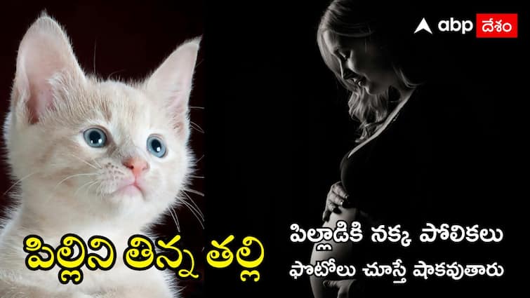 Jaren Gamongan was born with werewolf syndrome but his mother believes it was because she ate a wild cat during her pregnancy A Boy Diagnosed with Rare Wolf Syndrome : ప్రెగ్నెన్సీ సమయంలో పిల్లిని తిన్న తల్లి.. నక్క​ పోలికలతో జన్మించిన పిల్లాడు, పిల్లే దీనికి కారణమా?