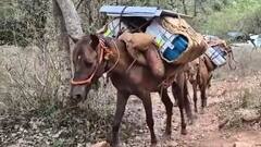 Loksabha Elections 2024 Phase 1 | రేపే తొలి దశ ఎన్నికలు... పోలింగ్ సిబ్బంది కష్టాలు చూడండి | ABP