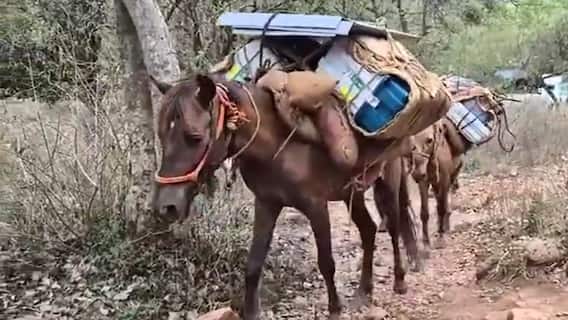 Loksabha Elections 2024 Phase 1 | రేపే తొలి దశ ఎన్నికలు... పోలింగ్ సిబ్బంది కష్టాలు చూడండి | ABP