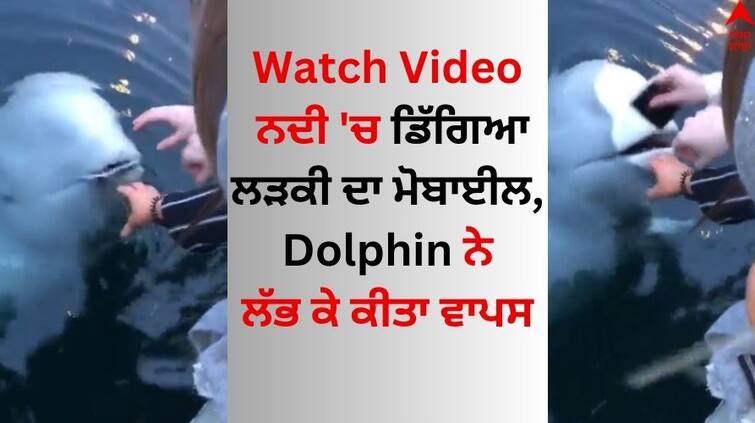 Watch-how-dolphin-retrieves-woman's-phone-after-she-dropped-it-in-river Watch: ਨਦੀ 'ਚ ਡਿੱਗਿਆ ਲੜਕੀ ਦਾ ਮੋਬਾਈਲ, ਡਾਲਫਿਨ ਨੇ ਲੱਭ ਕੇ ਕੀਤਾ ਵਾਪਸ, ਸੋਸ਼ਲ ਮੀਡੀਆ 'ਤੇ ਵੀਡੀਓ ਵਾਇਰਲ