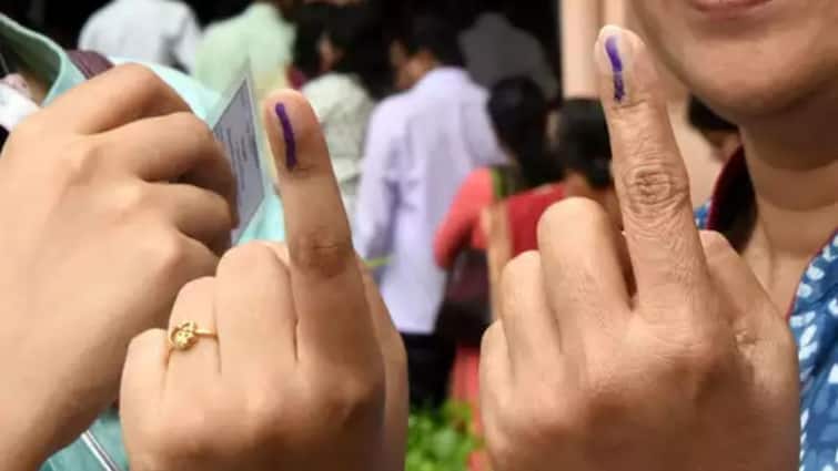Lok Sabha Election 2024 History of Election Ink Know Full Details Here Election Ink: ఓటింగ్ ఇంక్ ఎందుకు చెరిగిపోదు? అందులో ఏం కలుపుతారు - ఇప్పటికీ అదో రహస్యమే