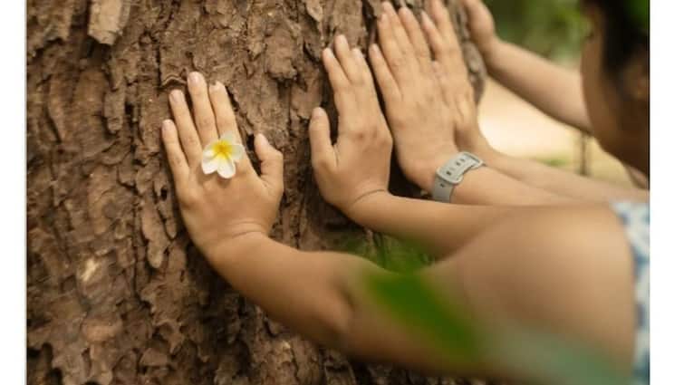 Bengaluru Company Commercialisation Trove Experience of Japanese Forest Bathing Practice At 1500 Cubbon Park Bengaluru's Latest Trend: 'Forest Bathing' At Rs 1,500, Netizens Call It 'Just Another Urban Scam'