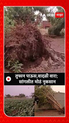 Sangli Heavy Rain : तुफान पाऊस,वादळी वारा; सांगलीत मोठं नुकसान