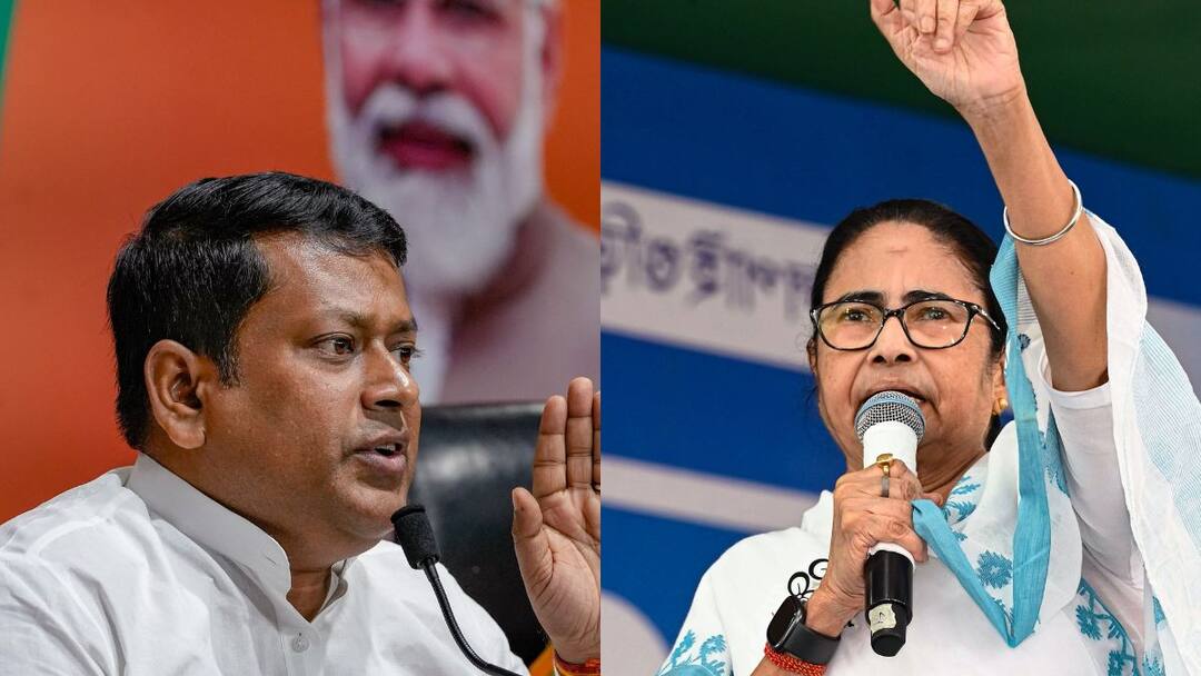 Ram Navami Violence In West Bengal TMC BJP Demands NIA Probe Mamata Banerjee Responds Bengal Ram Navami Clashes Planned By BJP Says CM Mamata, Saffron Party Demands NIA Probe