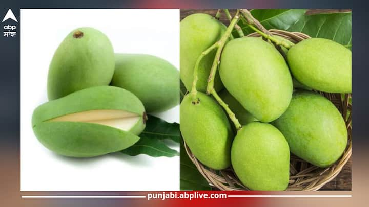 Raw Mango Benefits:ਗਰਮੀਆਂ ਦੇ ਵਿੱਚ ਹਰ ਕੋਈ ਬਹੁਤ ਹੀ ਬੇਸਬਰੀ ਦੇ ਨਾਲ ਅੰਬ ਦੀ ਉਡੀਕ ਕਰਦਾ ਹੈ। ਅੰਬ ਅਜਿਹਾ ਫਲ ਹੈ ਜਿਸ ਦਾ ਸੇਵਨ ਅੱਚੇ ਅਤੇ ਪੱਕੇ ਦੋਵੇਂ ਰੂਪਾਂ ਦੇ ਵਿੱਚ ਕੀਤਾ ਜਾਂਦਾ ਹੈ। ਇਸ ਲਈ ਬਾਜ਼ਾਰਾਂ ਦੇ ਵਿੱਚ ਕੱਚੀਆਂ ਅੰਬੀਆਂ