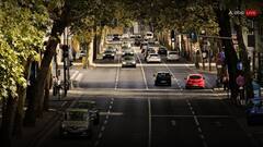 चुनाव आयोग ने चुनावी ड्यूटी के लिए मांगी आपकी कार तो मना कर सकते हैं या नहीं? जानिए क्या हैं अधिकार