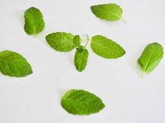 How to store Mint leaves : अशा प्रकारे ठेवा पुदिन्याची पाने, यामुळे लवकर खराब होणार नाही.