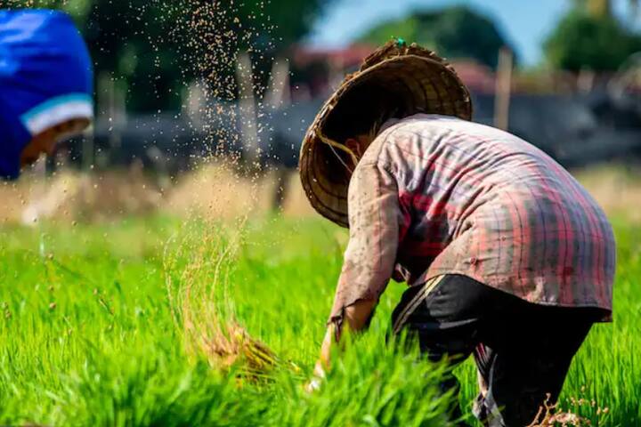 ਕਿਸਾਨਾਂ ਨੂੰ ਖੇਤਾਂ ਵਿੱਚ ਕੰਮ ਕਰਨ ਵੇਲੇ ਹਲਕੇ ਰੰਗ ਦੇ ਢਿੱਲੇ-ਢਿੱਲੇ ਸੂਤੀ ਕੱਪੜੇ ਪਾਉਣੇ ਚਾਹੀਦੇ ਹਨ। ਆਪਣੇ ਸਿਰ 'ਤੇ ਟੋਪੀ ਜਾਂ ਤੌਲੀਆ ਜ਼ਰੂਰ ਬੰਨ੍ਹੋ। ਤੁਸੀਂ ਸਨ ਗਲਾਸ ਵੀ ਪਾ ਸਕਦੇ ਹੋ।