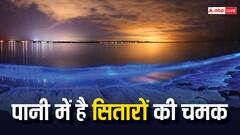 इस नदी में है 'अवतार' वाली शक्ति, छूते ही पानी में दौड़ जाती है कमाल की रौशनी