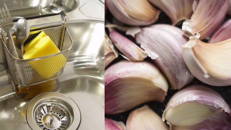 To easily peel garlic skin tips to clean oily dosa tava house hold tips House Hold Tips: பூண்டு தோல் உரிக்க.. தோசை கல் பிசுக்கு நீக்க.. பயனுள்ள வீட்டுக் குறிப்புகள் இதோ..