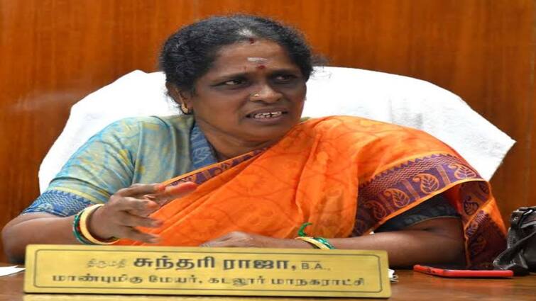 Cuddalore Corporation Mayor Sundari house raided by Income Tax officials - TNN கடலூர் மாநகராட்சி மேயர் வீட்டில் திடீர் ஐடி ரெய்டு - நடந்தது என்ன?