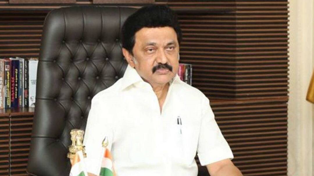 CM MK Stalin: 