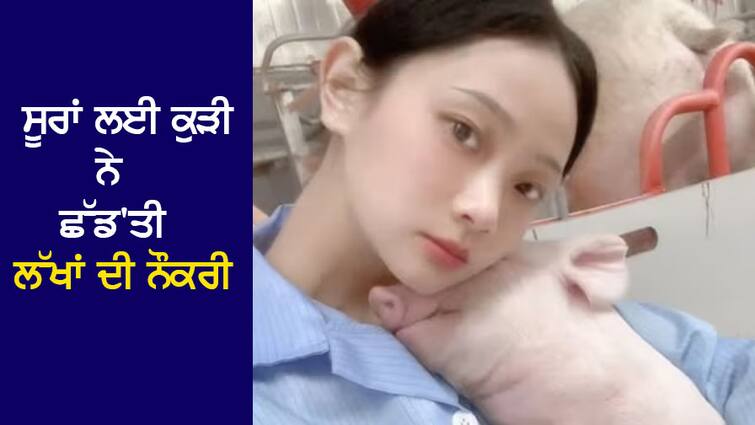 Viral News: The girl left her job worth lakhs for pigs, said, 'There is peace in life now' Viral News : ਸੂਰਾਂ ਲਈ ਕੁੜੀ ਨੇ ਛੱਡ'ਤੀ ਲੱਖਾਂ ਦੀ ਨੌਕਰੀ, ਕਿਹਾ- ਕਿਹਾ 'ਹੁਣ ਜ਼ਿੰਦਗੀ 'ਚ ਸਕੂਨ ਹੈ'