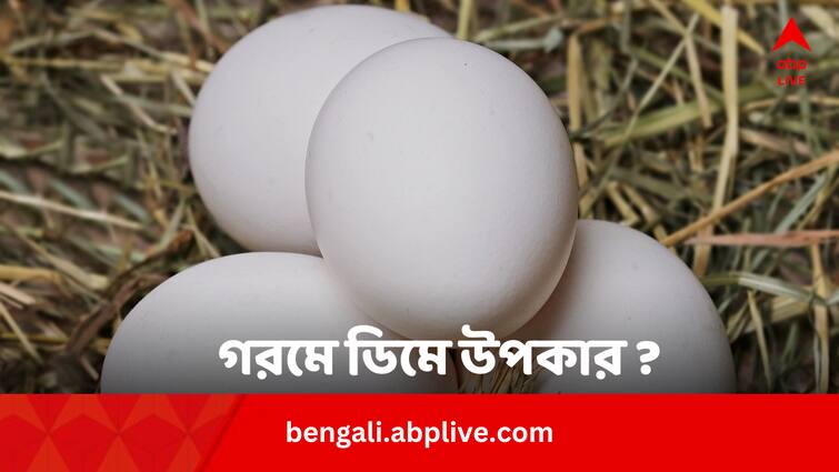 Know Egg Eating Health Benefits And Issues In Summer In Bengali News Summer Health Tips: গরমের দিনে ডিম খেলে শরীরের উপকার ?