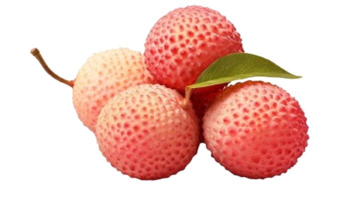 किसान लीची के फलों का साइज बढ़ाने के लिए अप्रैल के महीने में इसमें 450 ग्राम से लेकर 500 ग्राम यूरिया डाल सकते हैं.