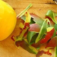 Mango Peel : ਫਲਾਂ ਦੇ ਰਾਜੇ ਅੰਬ ਦੇ ਛਿਲਕਿਆਂ 'ਚ ਹਨ ਕਈ ਗੁਣਕਾਰੀ ਚਮਤਕਾਰ, ਜਾਣੋ ਲਾਭ