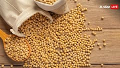 किसानों को सोयाबीन की ये किस्म देगी खूब मुनाफा, कम वक्त में होगी ज्यादा पैदावार