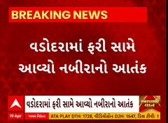 Vadodara News । અકોટા બ્રિજ પર બેઠેલા યુવકને બેફામ કારચાલકે લીધો અડફેટે