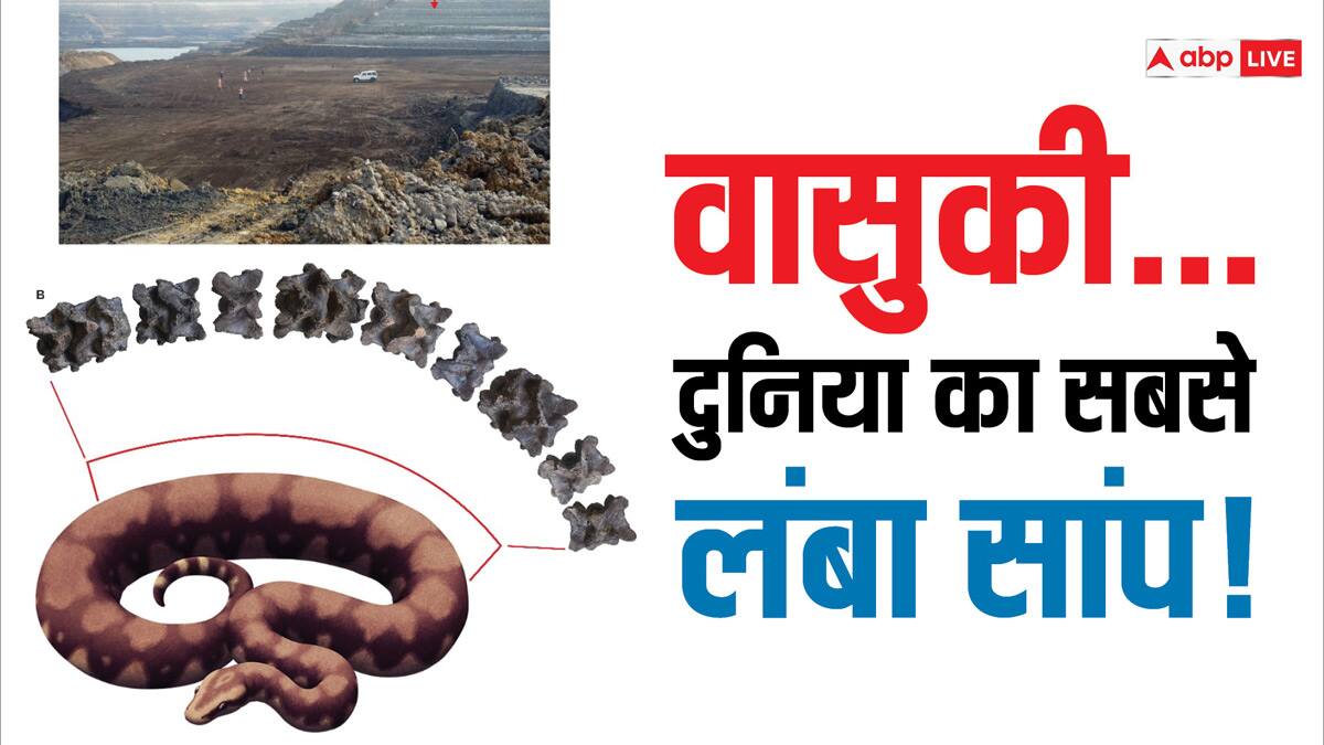 गुजरात में मिले 5 करोड़ साल पुराने 'वासुकी' नाग की क्या है कहानी?