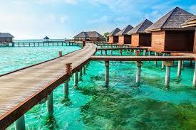 ਤੁਹਾਨੂੰ ਦੱਸ ਦੇਈਏ ਕਿ ਕੇਰਲ ਅਜਿਹਾ ਰਾਜ ਹੈ ਜਿੱਥੇ ਸੱਪਾਂ ਦੀਆਂ ਸਭ ਤੋਂ ਵੱਧ ਪ੍ਰਜਾਤੀਆਂ ਪਾਈਆਂ ਜਾਂਦੀਆਂ ਹਨ। ਪਰ ਲਕਸ਼ਦੀਪ ਇਕ ਅਜਿਹਾ ਕੇਂਦਰ ਸ਼ਾਸਿਤ ਪ੍ਰਦੇਸ਼ ਹੈ ਜਿੱਥੇ ਇਕ ਵੀ ਸੱਪ ਨਹੀਂ ਮਿਲਦਾ।