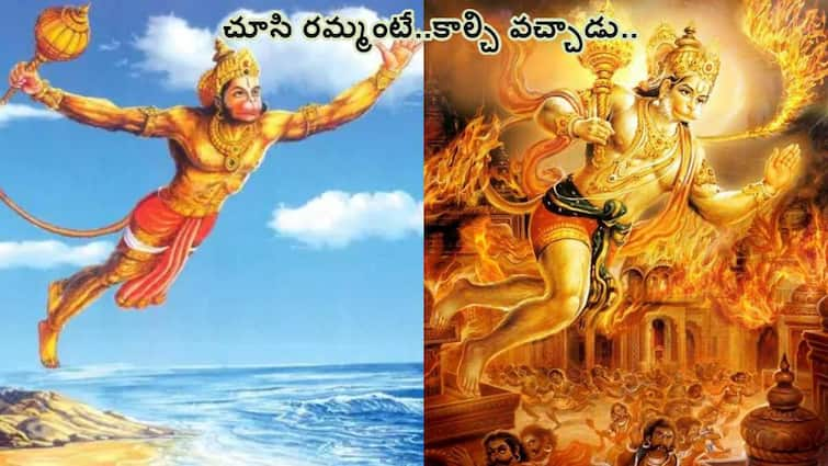 Hanuman Jayanti 2024 importance of Valmiki Ramayana Sundara Kanda know in details Hanuman Jayanti 2024: రామాయణంలో సుందరకాండకే ఎందుకంత ప్రాధాన్యం - సుందరకాండలో అసలేముంది!