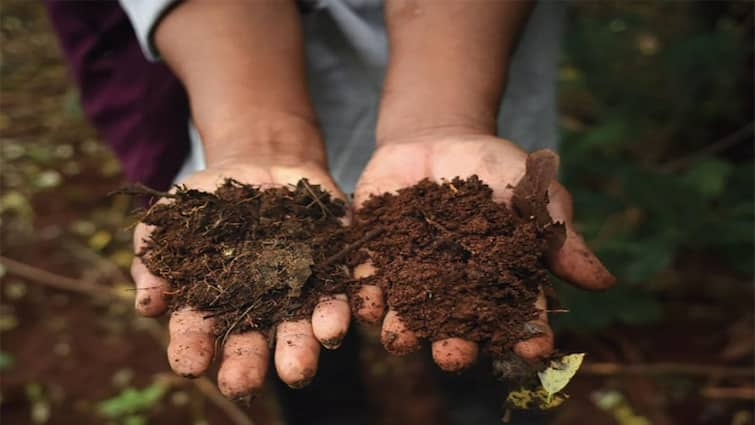 Agriculture News: Farmers must know how to make soil health card which documents to need and the benefits of it Soil Health Card: કેવી રીતે બને છે સોઈલ હેલ્થ કાર્ડ, કયા દસ્તાવેજોની પડશે જરૂર, જાણો શું છે તેના ફાયદા