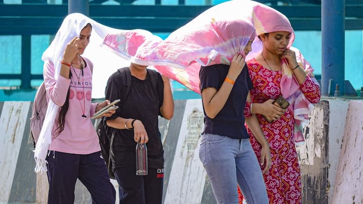 প্রতিদিনের ডায়েটেও আনতে হবে বদল। জলের পরিমাণ বেশি রয়েছে এমন খাবার খেতে হবে। বাড়ির হালকা রান্না খাওয়া শরীরের জন্য উপকারী। কমলালেবু, শসা, স্ট্রবেরি খাওয়া যেতে পারে রোজ।