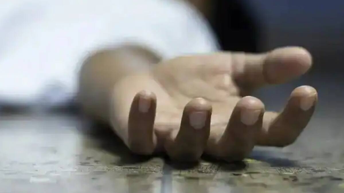 Tamil Nadu Lok Sabha Election: Two Voters Collapse & Die At Polling Booth In Salem