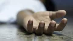 Tamil Nadu Lok Sabha Election: Two Voters Collapse & Die At Polling Booth In Salem