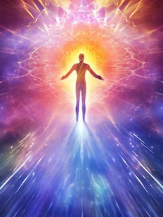 शरीर का कौन-सा अंग सबसे ज्यादा ऊर्जा करता है यूज?