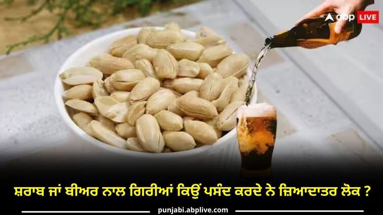 why most people like peanuts with beer there is amazing science behind it ਸ਼ਰਾਬ ਜਾਂ ਬੀਅਰ ਨਾਲ ਗਿਰੀਆਂ ਕਿਉਂ ਪਸੰਦ ਕਰਦੇ ਨੇ ਜ਼ਿਆਦਾਤਰ ਲੋਕ ? ਸਮਝੋ ਇਸ ਪਿੱਛੇ ਦੀ ਸਾਇੰਸ