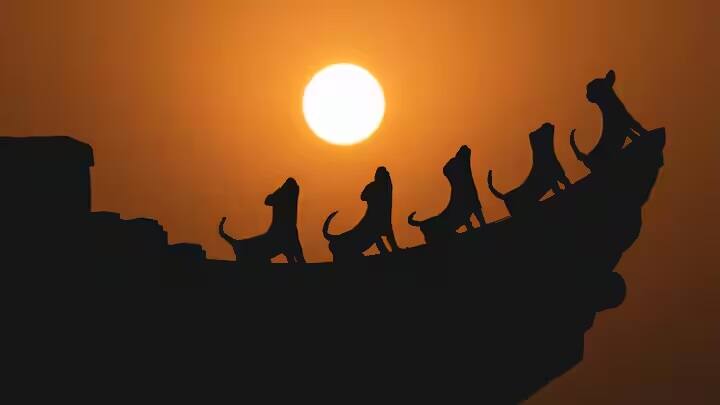વાસ્તવમાં, શ્વાન દિવસ કરતાં રાત્રે વધુ ભસતા હોય છે અને લોકોનો પીછો કરે છે. ઠંડા હવામાનમાં, કૂતરાઓનું મોટેથી ભસવું ખલેલ પહોંચાડે છે.