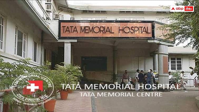 tata memorial centre has released notification for the recruitment of non medical posts TMC: టీఎంసీలో నాన్ మెడికల్ పోస్టులు, వివరాలు ఇలా