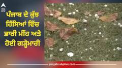 Punjab Weather: ਪੰਜਾਬ ਵਿੱਚ ਬਦਲਿਆ ਮੌਸਮ, ਕੁੱਝ ਹਿੱਸਿਆਂ ਵਿੱਚ ਭਾਰੀ ਮੀਂਹ ਅਤੇ ਗੜ੍ਹੇਮਾਰੀ