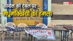 बीकानेर में कांग्रेस की टेबल पर मधुमक्खियों का हमला, कुर्सी छोड़ भागे कार्यकर्ता, मची अफरा-तफरी