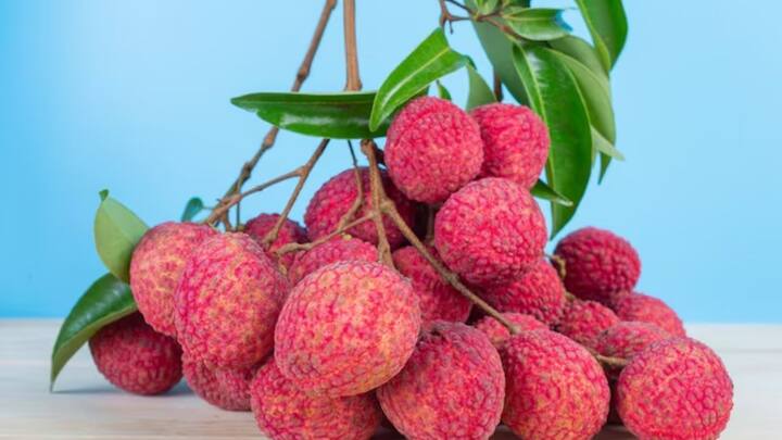 अप्रैल के महीने में लीची की बागवानी करते समय किसान लीची का साइज बढ़ाने के लिए इसमें दो खाद का इस्तेमाल कर सकते हैं.