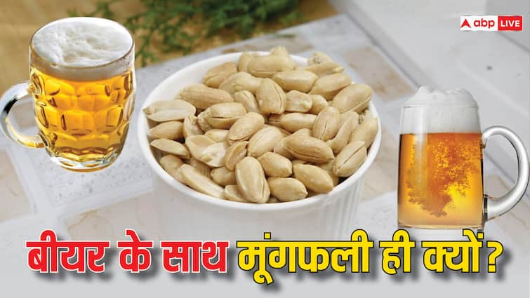 best chakna with beer why most people like peanuts with beer there is amazing science behind it बीयर के साथ मूंगफली ही क्यों पसंद करते हैं ज्यादातर लोग, इसके पीछे है कमाल की साइंस