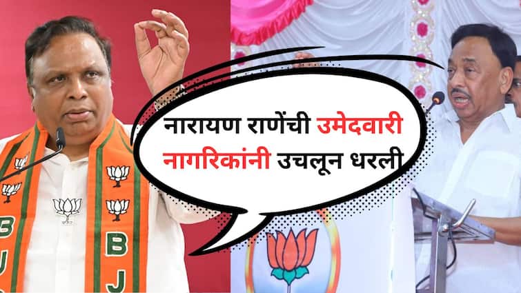 Ashish Shelar on Narayan Rane's candidacy was picked up by the citizens, what did Ashish Shelar say? Maharashtra Politics Marathi News Ashish Shelar on Narayan Rane : नारायण राणे यांची उमेदवारी नागरिकांनी उचलून धरली, आशिष शेलार काय काय म्हणाले?