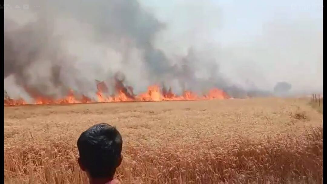 Kanpur Fire News: आग लगने से 80 बीघे गेहूं की फसल जलकर हुई राख, दमकल की गाड़ियों को पहुंचने में हुई थी देरी Kanpur 80 bigha wheat crop burnt ashes due fire delay in reaching fire engines ann Kanpur Fire News: आग लगने से 80 बीघे गेहूं की फसल जलकर हुई राख, दमकल की गाड़ियों को पहुंचने में हुई थी देरी