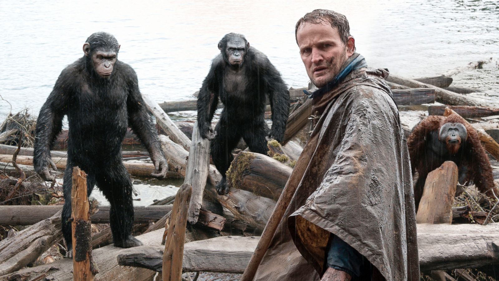 Kingdom Of The Planet Of The Apes’ Release: A Look Back Into The Ape Franchise Ahead Of The Grand Premiere