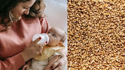 Mothers Milk : தாய்ப்பால் அதிகமாக  சுரக்க சாப்பிட வேண்டிய 5 உணவுகளை பற்றி காணலாம்