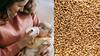 Mothers Milk : தாய்ப்பால் அதிகமாக சுரக்க சாப்பிட வேண்டிய 5 உணவுகள்!